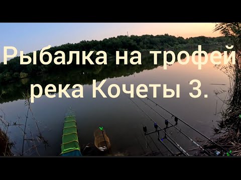 Видео: Погоня за трофеем, река Кочеты 3. 15.08.2025.
