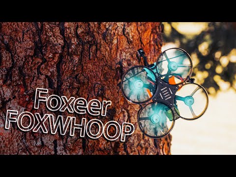 Видео: ☀ Попытался сломать - не получилось. Синевуп - ТАНК [Foxeer Foxwhoop 25]