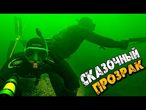 Видео: Сказочный прозрак