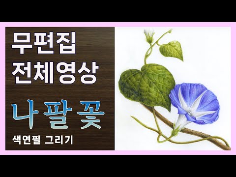 Видео: [Полное видео] Утренняя слава Рисунок цветным карандашом | Учитесь рисовать цветы # 6-6