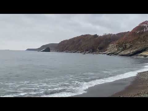 Видео: СТЕКЛЯННАЯ БУХТА во ВЛАДИВОСТОКЕ