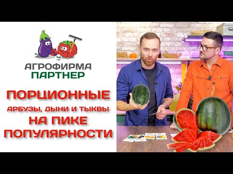 Видео: Порционные арбузы, дыни и тыквы на пике популярности