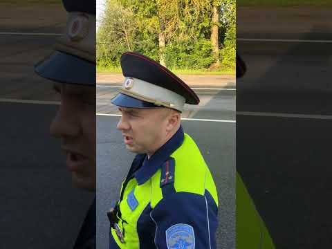 Видео: 26.07.23 6:30 Ногинск ул.Декабристов д.158 голодный старлей