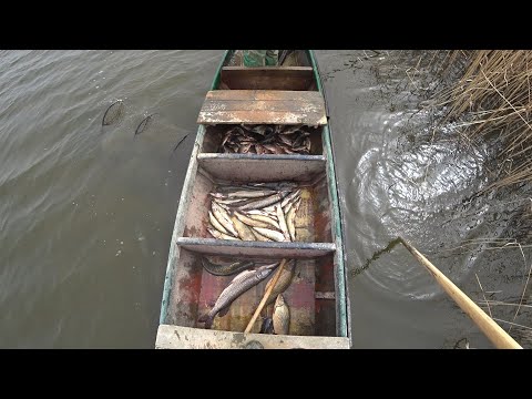 Видео: Проверка сетей (секретов). Дельта Волги не радует.