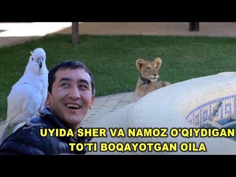 Видео: АНДИЖОНЛИК ХОЖАКА ТЎТИГА НАМОЗ ЎҚИШНИ ЎРГАТДИ