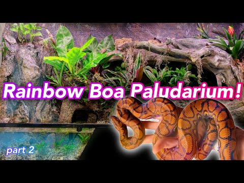 Видео: 270-галлонный палюдариум для боа, сборка, часть 2 // Водопад, растения, змея