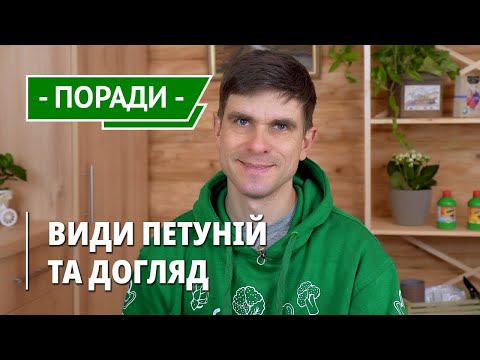 Видео: Петунія вирощування з насіння. | Огляд сортів: ампельна, гібридна. Як посіяти? Процес посіву, догляд