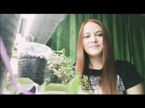 Видео: 🎄С НОВЫМ 2021 ГОДОМ!🎄С РОЖДЕСТВОМ!🎄Видео знакомство с вами)🎄Эстафета от Натальи.🎄Новый СТЕЛЛАЖ!🎄