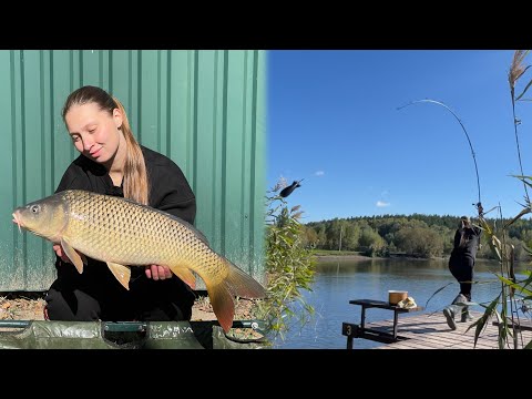 Видео: Ловля коропа у листопаді. Дуже порадували маленькі коропчуки. ФЛЕТ ФІДЕР ІЗ ЗАКОРМОМ.