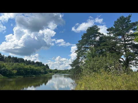 Видео: На сапах по Клязьме от Городищ до Омутищ