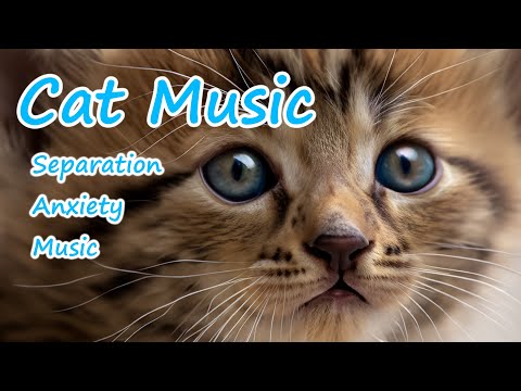 Видео: Музыка для нервных кошек - Целебная кошачья музыка для глубокой релаксации, сна и комфорта🐱