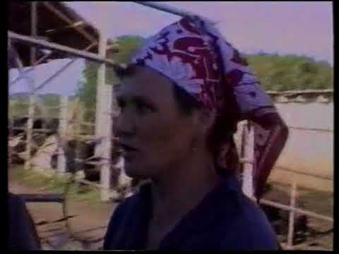 Видео: Красные Ключи, Крапивинский район. ДУЭТ: Папст Нина Ивановна, Дульзан Валентина Викторовна