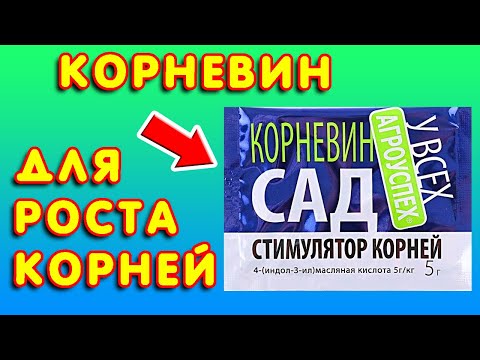 Видео: Корневин применение. Стимулятор роста корней для роз, черенков, саженцев Инструкция по применению #1