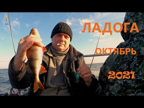 Видео: Рыбалка на ЛАДОГЕ!!! Октябрь!!! Дубно, Варецкие банки!!!