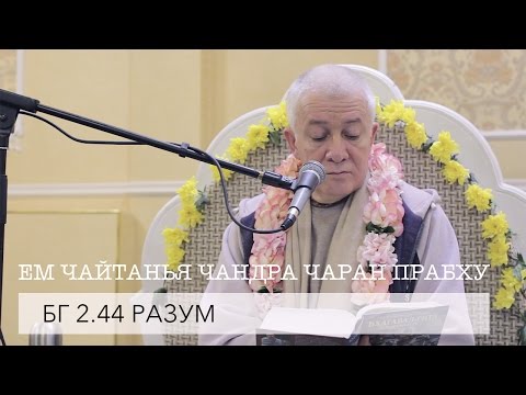 Видео: ЕМ Чайтанья Чандра Чаран Прабху - БГ 2.44 Разум (Алматы 2017)