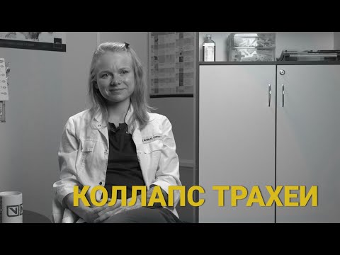 Видео: Коллапс трахеи