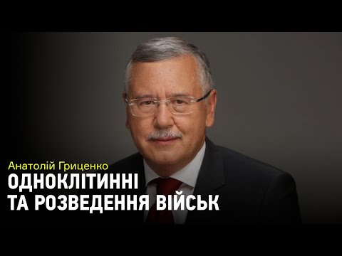 Видео: Гриценко о разведении войск: "На это нельзя реагировать в режиме одноклеточного организма"