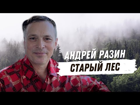 Видео: Андрей Разин – Старый лес