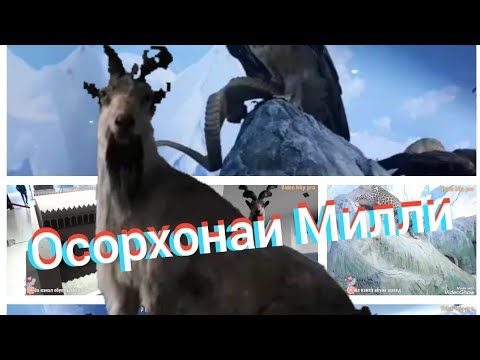 Видео: Осорхонаи мили Точикистон