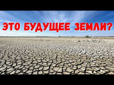 Видео: Засухи и песчаные бури – реальная угроза будущему нашей планеты