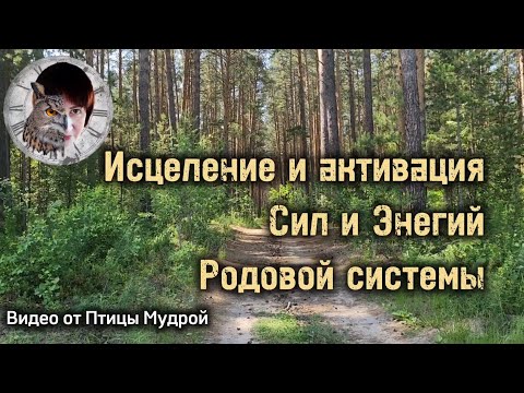 Видео: Как исцелить и активизировать Силы и Энергии Родовой системы