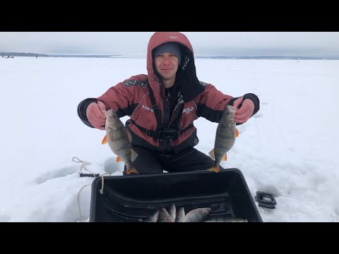 Видео: Рыбалка на окуня. ОКУНЬ НА БАЛАНСИР.