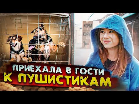 Видео: Милана Хаметова - Делаем добрые дела 24 часа Челлендж