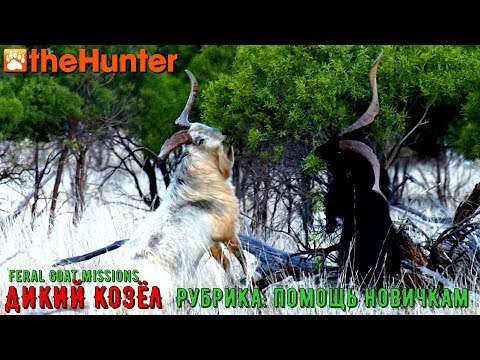 Видео: ♢ theHunter Classic ➫ Рубрика: Помощь новичкам ♢ Feral Goat Missions ℘⓵ ➫ Миссии на Дикого козла ♢