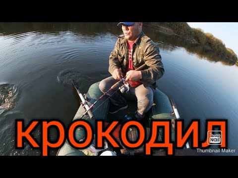 Видео: ВЫХОД ТРОФЕЕВ ОГРОМНЫЕ ЩУКИ ПЕРЕВОРАЧИВАЮТ ЛОДКИ.  ЩУКА 25кг