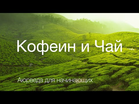 Видео: Кофеин и Чай. Аюрведа для всех.