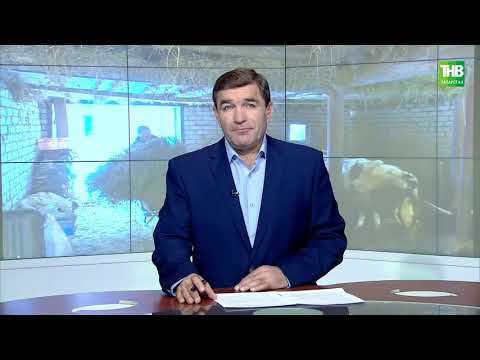 Видео: Туган җир 27/11/2020