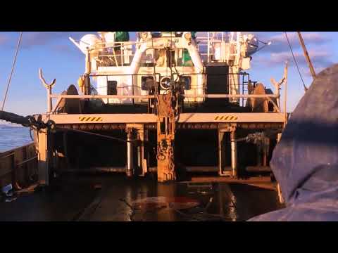 Видео: рш мерцана рыбалка снюрревод