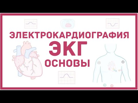 Видео: Введение в ЭКГ - основы