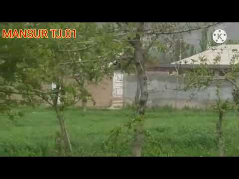 Видео: Убайдулло Каромат/ Рузи рафта бар намегардад