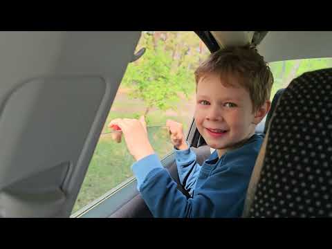 Видео: Семейная прогулка в очень красивом месте // 09.05.2025