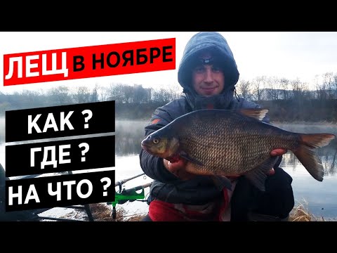 Видео: ЛОВЛЯ ЛЕЩА В НОЯБРЕ на ФИДЕР. МОРОЗИМ СОПЛИ НА ЗАПАДНОЙ ДВИНЕ. Ночная рыбалка на фидер.