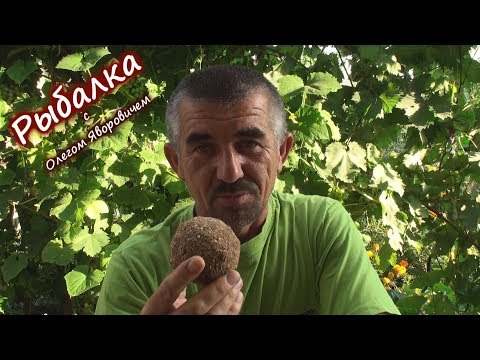 Видео: Приманка для рыбы. Дедовский метод забытый всеми рыбаками.
