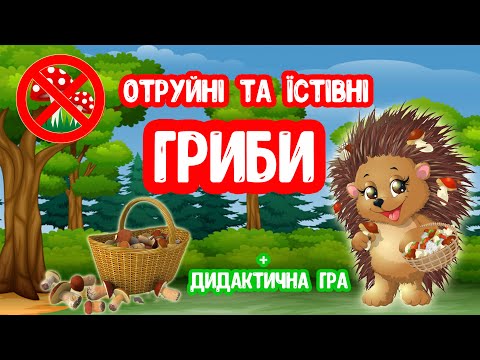 Видео: Отруйні та Їстівні ГРИБИ презентація для дітей Дидактична Гра