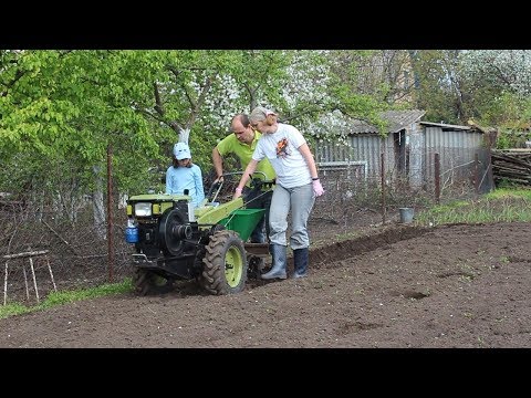 Видео: Посадка картофеля тяжелым мотоблоком 2019