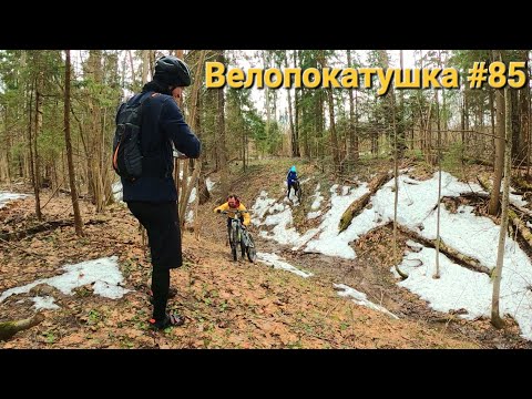 Видео: Жизнь не учит! Снова в ЛЕС !ВЕЛОПОКАТУШКА #85