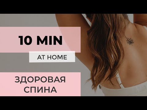 Видео: здоровая спина