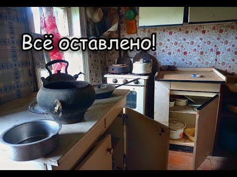 Видео: МНОЖЕСТВО НАХОДОК СТАРИНЫ и не только в брошенных домах. Заброшенная деревня в лесу. Ярославская обл