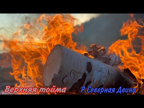 Видео: 🎣Рыбалка на Северной Двине.С.Верхняя Тойма.#севернаядвина #верхняятойма #рыбалка