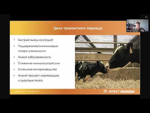 Видео: 29 07 Максим Михайлович Белокуров «Лабораторная диагностика для работы с новотёлом»