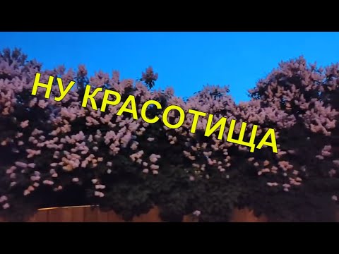 Видео: Влог 💥 Вечерняя прогулка до магазина🌜
