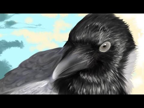 Видео: Как увеличить дальность FM передатчика ???