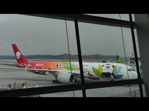 Видео: АЭРОПОРТ ЧЭНДУ В КИТАЕ🇨🇳. БЕСПЛАТНАЯ ВОДА И КУРИЛКА В ТЕРМИНАЛЕ  😏