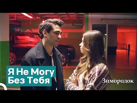 Видео: Перемирие На Парковке | Зимородок