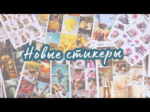 Видео: Находка месяца - стикербуки из Китая! Огромная распаковка стикеров