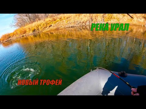 Видео: Щука на джиг. Река Урал